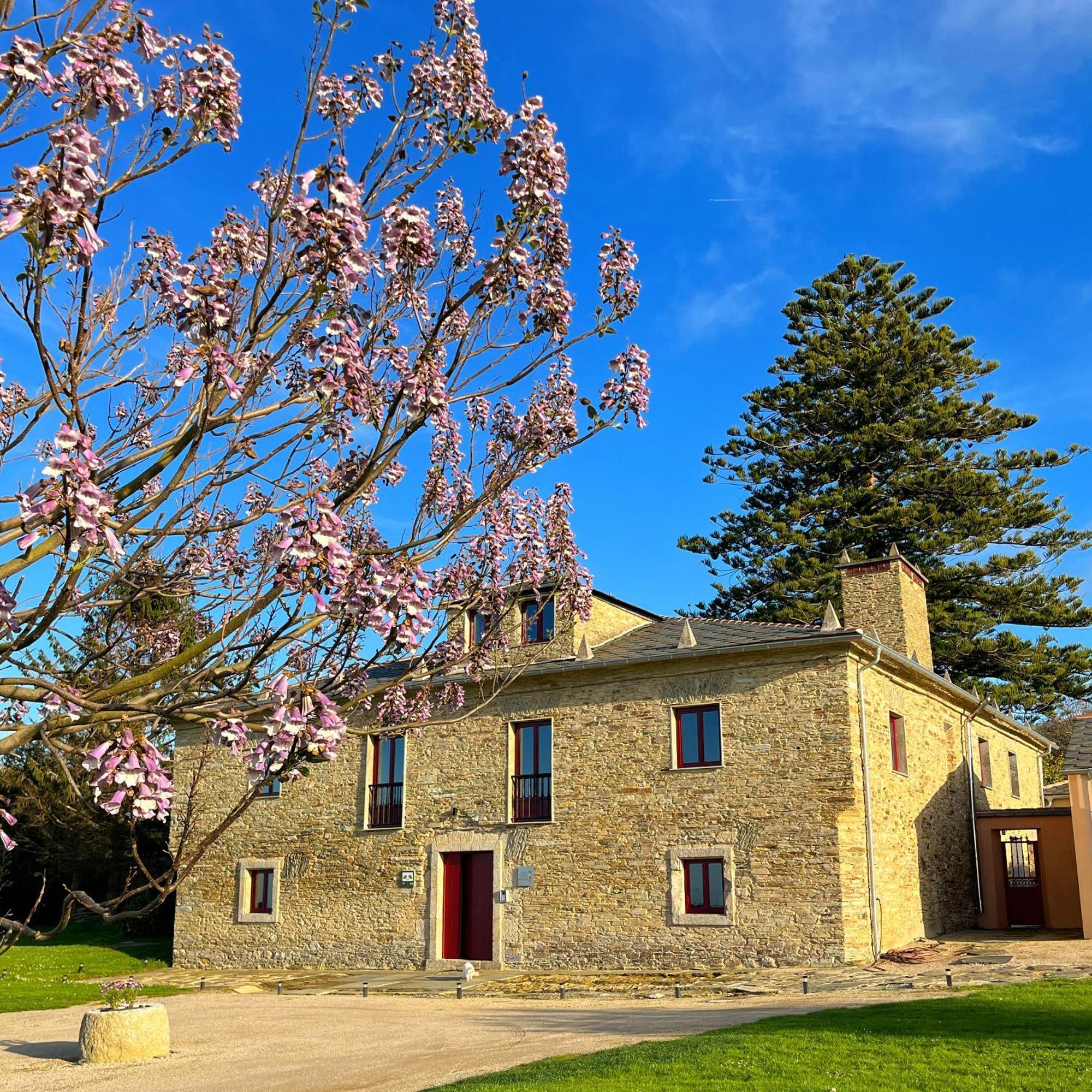 Araucaria House Pension Barreiros Buitenkant foto